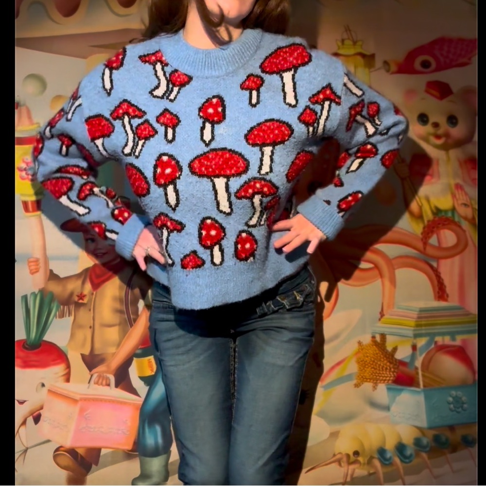 ZARA red and blue mushroom sweater